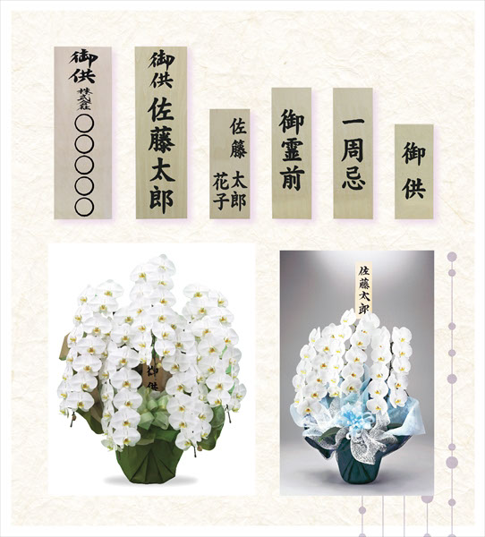 拡大画像5