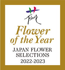 日本フラワー・オブ・ザ・イヤー2022
鉢物部門「最優秀賞」受賞