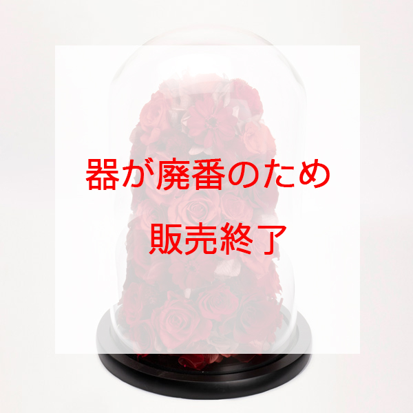 IG-pr1024