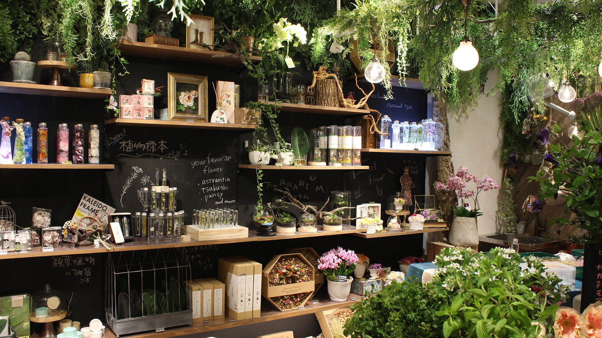 サトウ花店ショップイメージ