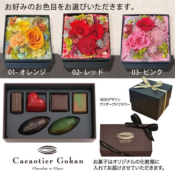 Cacaotier Gokanコラボレーション商品