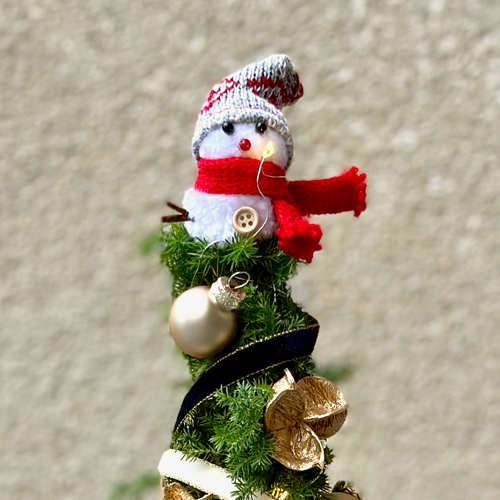 ピカピカツリー'24