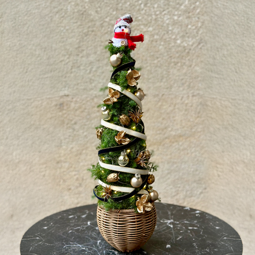 ピカピカツリー'24