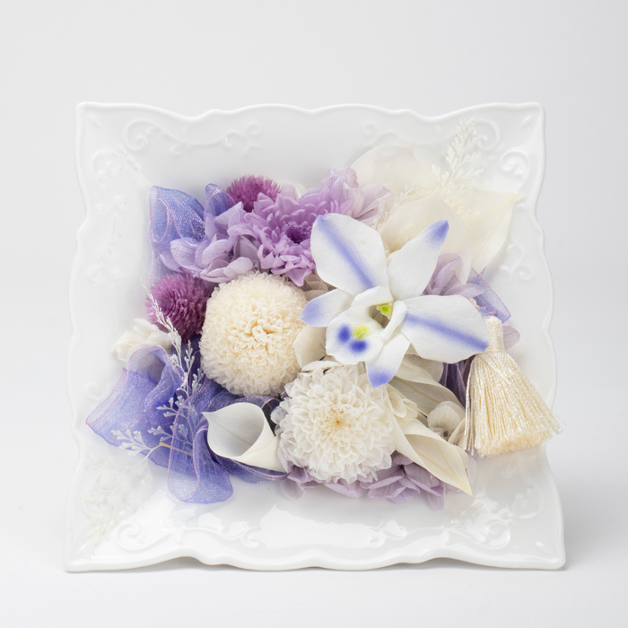 迎春ミニ胡蝶蘭