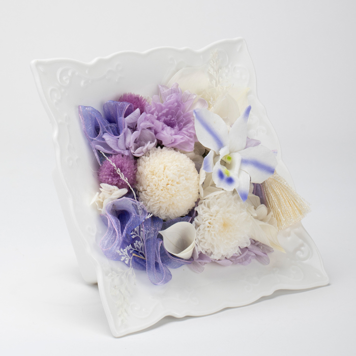 迎春ミニ胡蝶蘭