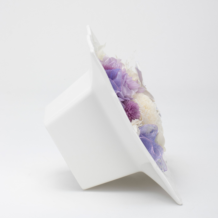 迎春ミニ胡蝶蘭