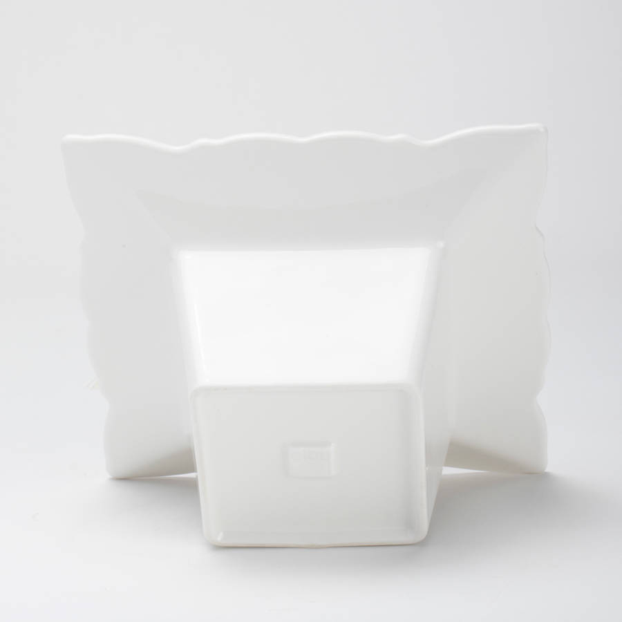 迎春ミニ胡蝶蘭