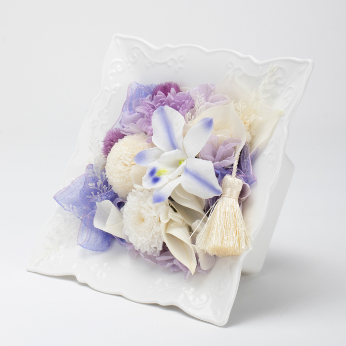 迎春ミニ胡蝶蘭