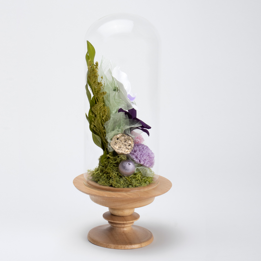 迎春ミニ胡蝶蘭