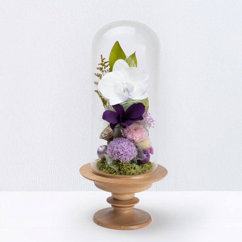 迎春ミニ胡蝶蘭