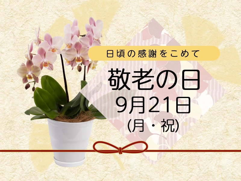 シーズンの花贈り