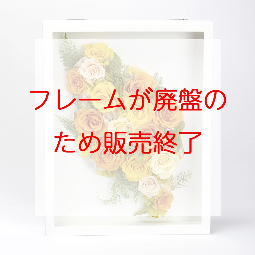 IG-pr1024