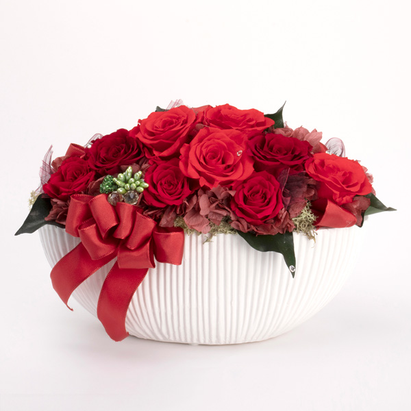 IG-pr2324