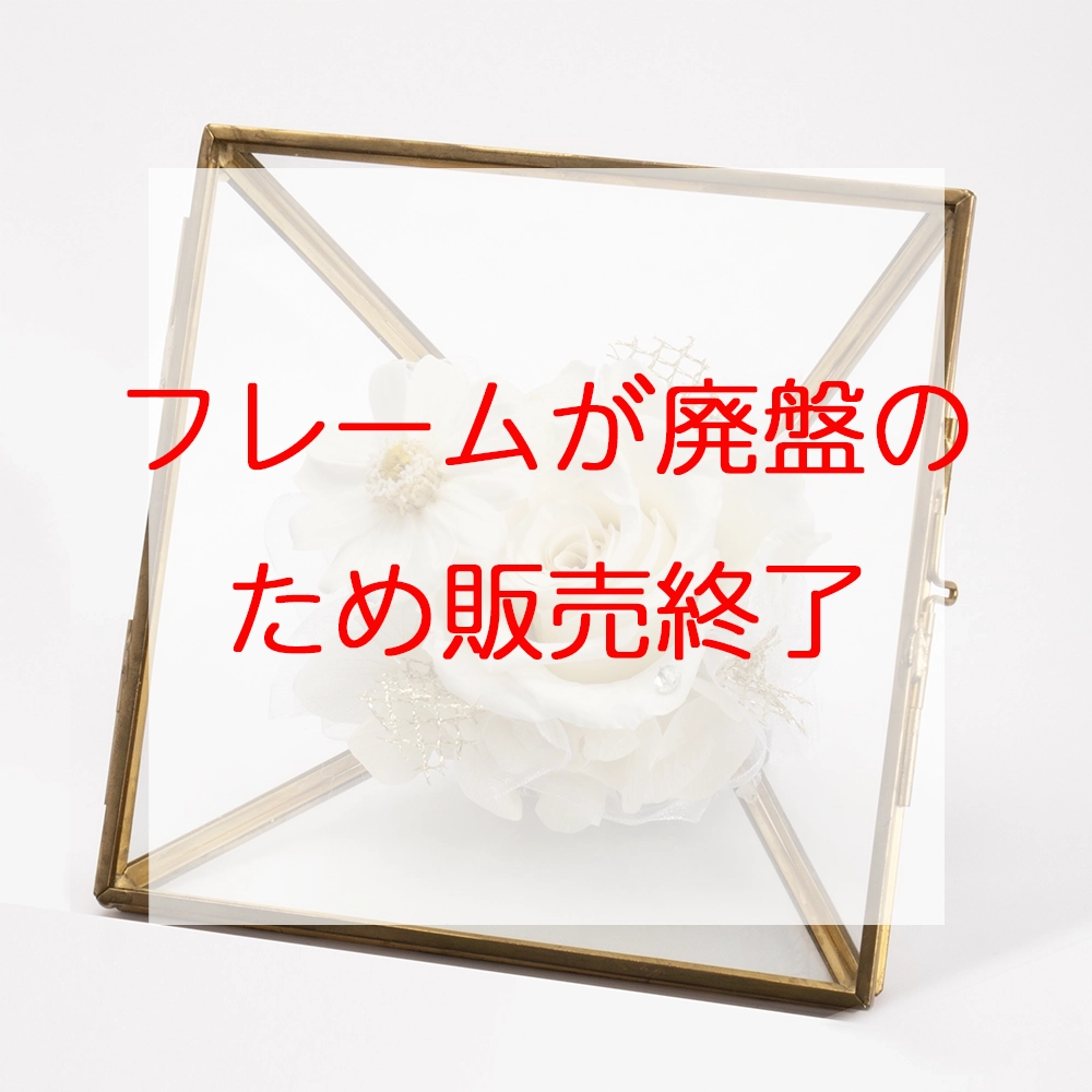 IG-pr1024